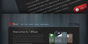 2 Column theme from Elegant Themes