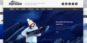 Discover the AIT – Impression WordPress Theme