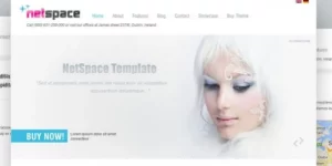 Discover the AIT – Netspace WordPress Theme