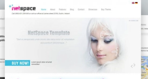 Discover the AIT – Netspace WordPress Theme