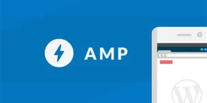 Discover AMP Layouts