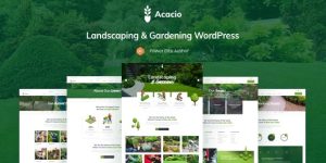 Transform your website with Acacio