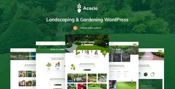 Transform your website with Acacio