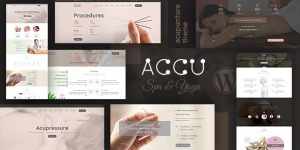 Discover the Accu Acupuncture WP Theme for stunning