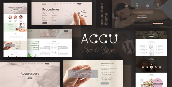 Discover the Accu Acupuncture WP Theme for stunning