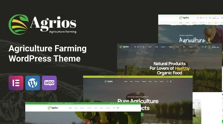 Discover Agrios – a modern WordPress theme perfect for farming