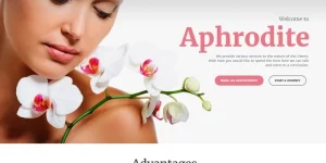 Aphrodite is a well-documented and SEO friendly Salon WordPress Theme