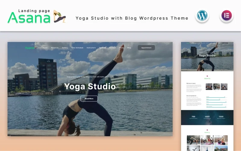 Asana is a well-adapted WordPress theme that is perfect for a business like yoga