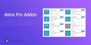 Unlock the full potential of your WordPress site with Astra Pro Addon! Enjoy unmatched customization