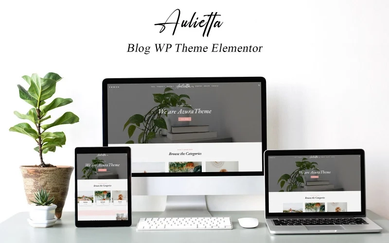 The Aulietta WordPress theme has modern and sophisticated design elements for small businesses