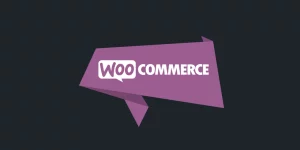 The tight integration between the two is guaranteed to leave your customers feeling like their support experience is deeply rooted in their purchasing experience. Improved Customer Satisfaction If you have a WooCommerce store