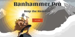 Banhammer Pro gives you full control of site access. Visit the Armory to monitor traffic and track suspicious visits. Find someone causing problems? Drop the Banhammer! All banned