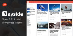 Bayside is a responsive WordPress theme that is perfect for showcasing your portfolio