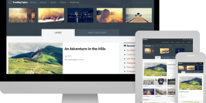 Discover Beacon - the ultimate Social WordPress Magazine Theme! With stunning layouts