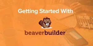 The Beaver Builder theme isn’t required for the Beaver Builder plugin