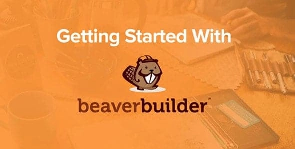 The Beaver Builder theme isn’t required for the Beaver Builder plugin