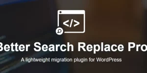 Better Search Replace (BSR) Pro is a time-saving migration plugin that makes moving WordPress easy. Migrating a database shouldn't be a pain and this plugin was designed to make it easier to move your database.