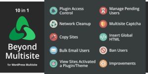 Beyond Multisite helps WordPress multisite network administrators to better control