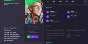 Bittanto - Creative Resume WordPress Theme build with Elementor Page builder. It has Onepage  Multipage versioning enabled. Helps you build a real aesthetic personal portfolio