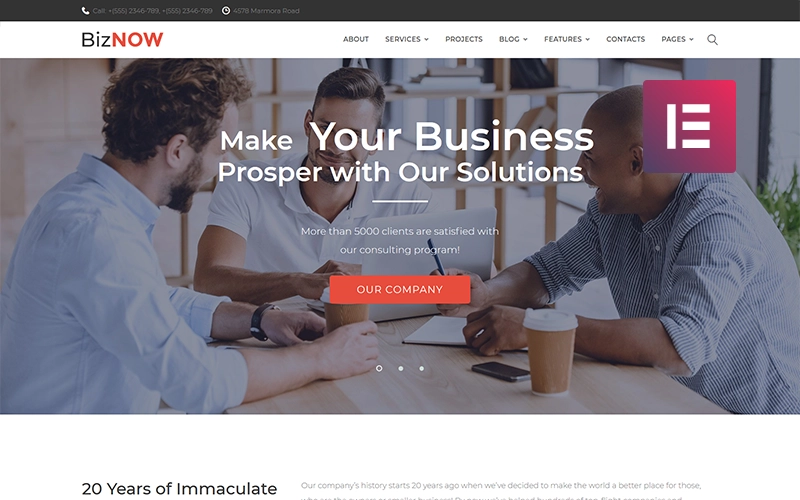 If you need a hassle-free theme for a profitable business consulting website