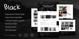 Stylish and clean creative theme is perfect for a business company or a beginner studio. Anyone who loves classic black and white colors