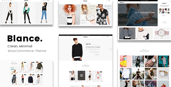 If you're on the hunt for a clean and minimal WooCommerce WordPress theme