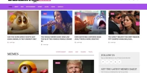 A well-documented and SEO-friendly BlazingNews will help you to widespread all news as a pro! Enjoy a fully responsive design with multiple blog layouts and versatile header  footer styles that will make your news magazine stand out from others on the web. A powerful TM Gallery will help you…