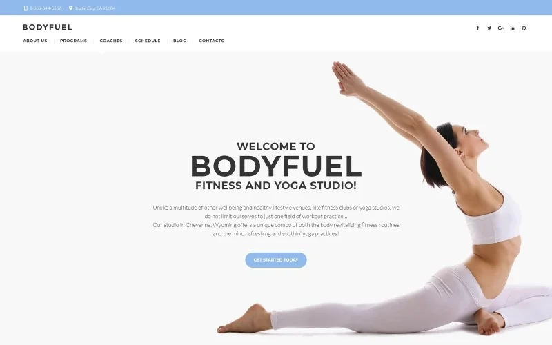 This fitness WordPress theme is a flexible solution that can fit into any sports site. To customize its design