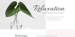 Bonnez theme is a great option for creating a professional website. Present your massage salon in a stylish and modern manner with this theme. There are pre-made pages