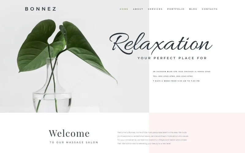 Bonnez theme is a great option for creating a professional website. Present your massage salon in a stylish and modern manner with this theme. There are pre-made pages