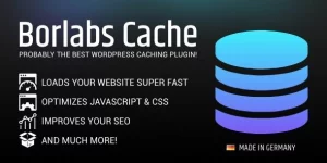 Boost your WordPress site with Borlabs Cache