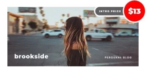 Brookside is the ideal WordPress blog theme with a responsive design