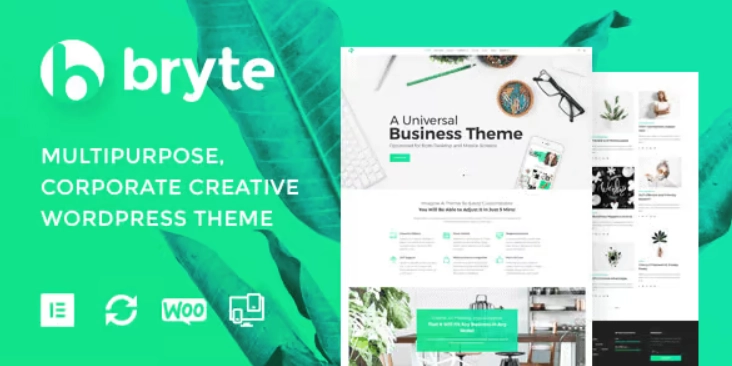 Bryte WP Template is a perfect choice for business owners and will suit for almost any industry. The theme is crafted with care to help you organize either an e-store or a corporate website. Enhanced with seven awesome skins