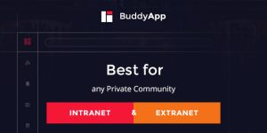 Discover BuddyApp - the ultimate mobile-first WordPress theme for creating interactive community websites. Perfect for social networks