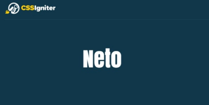 Neto is a classic multipurpose WooCommerce theme. It’s fast loading and feature-rich to create an online store. With dozens of customization options