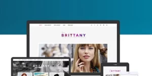 CSS Igniter Brittany WordPress Theme Amazing WordPress blogging style. Brittany has been specially designed for bloggers in lifestyle and fashion and promises the easiest read experience. Combine the look