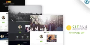 Discover Citrus – a versatile One Page WordPress theme perfect for personal websites