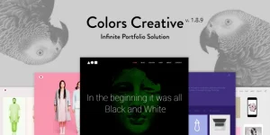 Discover Colors Creative - a premium WordPress theme with mind-blowing color options for creative professionals. Bring your website to life!