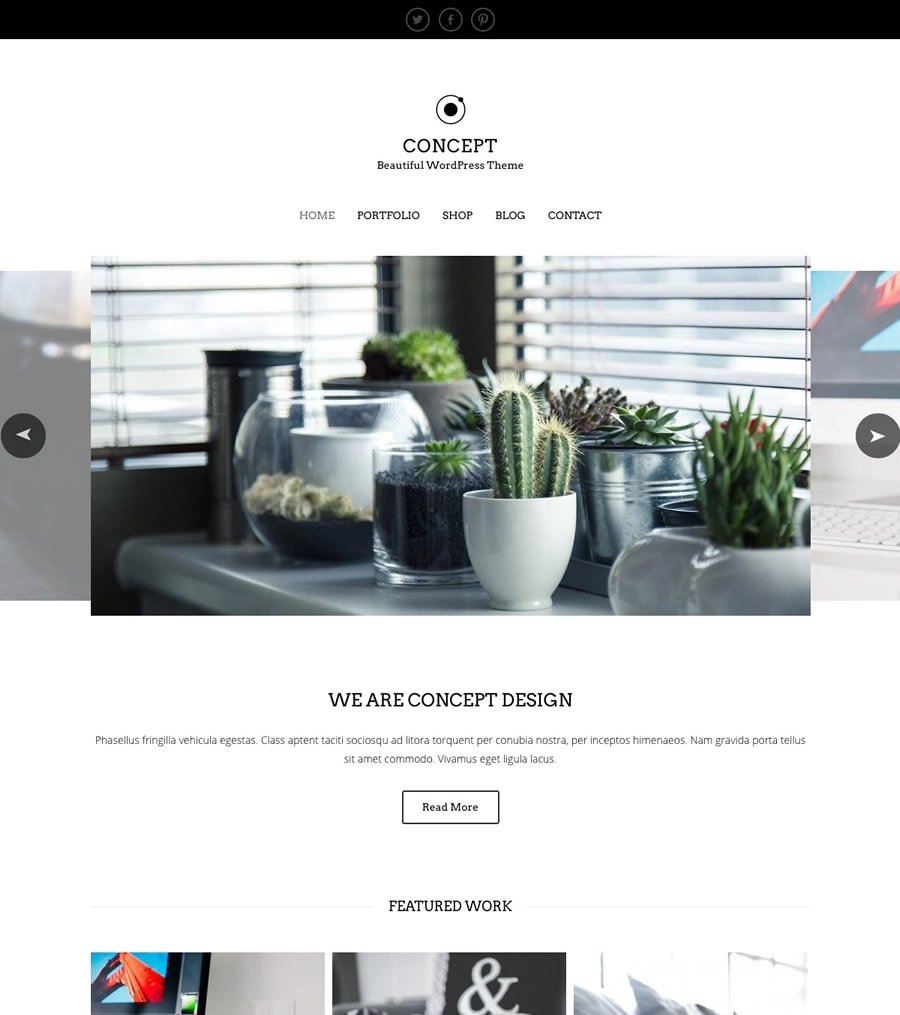 Discover the Concept WordPress Theme: a stunning