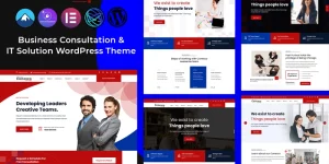 Conexco - Business Consultation and IT WordPress Theme