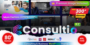 Discover the versatile Consultio WordPress Theme