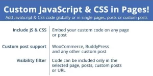 Unlock the power of customization with the Custom JavaScript  CSS in Pages plugin! Effortlessly add CSS and JavaScript to any post or page