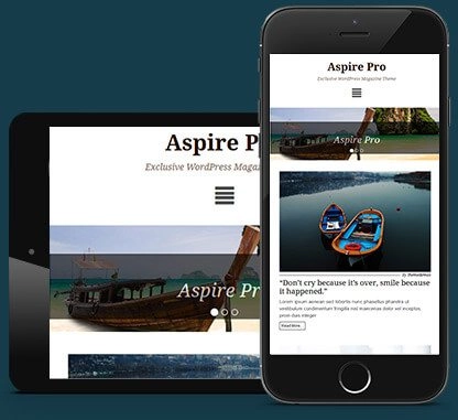 Unlock your website's potential with the CyberChimps AspirePro WordPress Theme! Featuring a responsive design