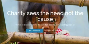 Elevate your nonprofit's online presence with the CyberChimps CharityPure WordPress Theme! Featuring customizable layouts