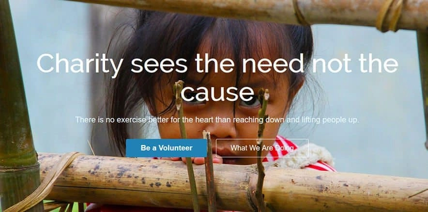 Elevate your nonprofit's online presence with the CyberChimps CharityPure WordPress Theme! Featuring customizable layouts