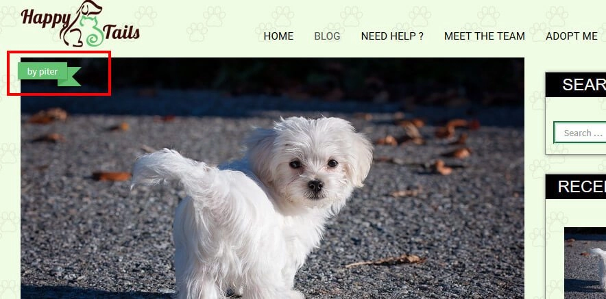 Discover CyberChimps HappyTails WordPress Theme—a responsive