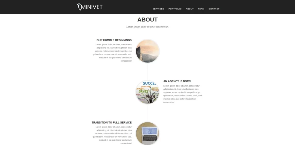 Discover the CyberChimps Minivet WordPress Theme