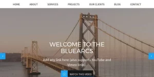 Discover CyberChimps' BlueArcs WordPress Theme