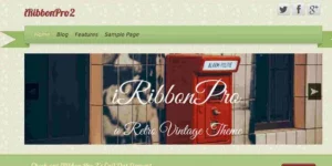 Transform your website with iRibbon Pro 2