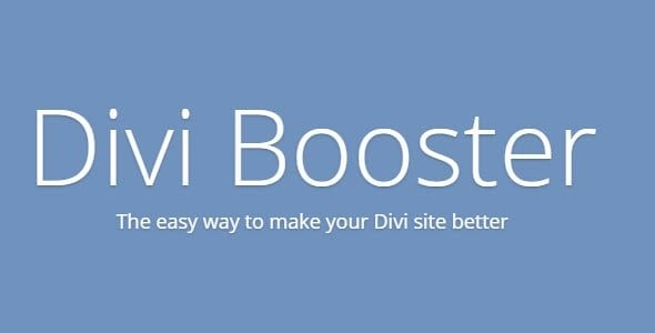 Customize your Elegant’s Divi theme with Divi Booster plugin. It has tons of customization options that can make your Divi theme stand out from others.